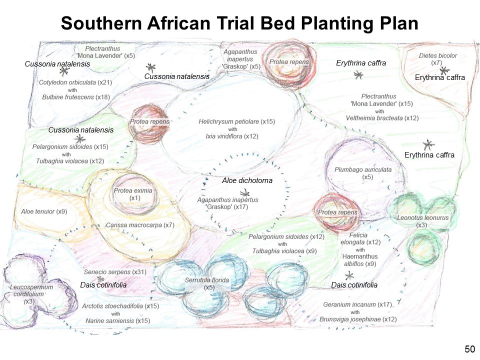 Southen African Trial Bed Plan